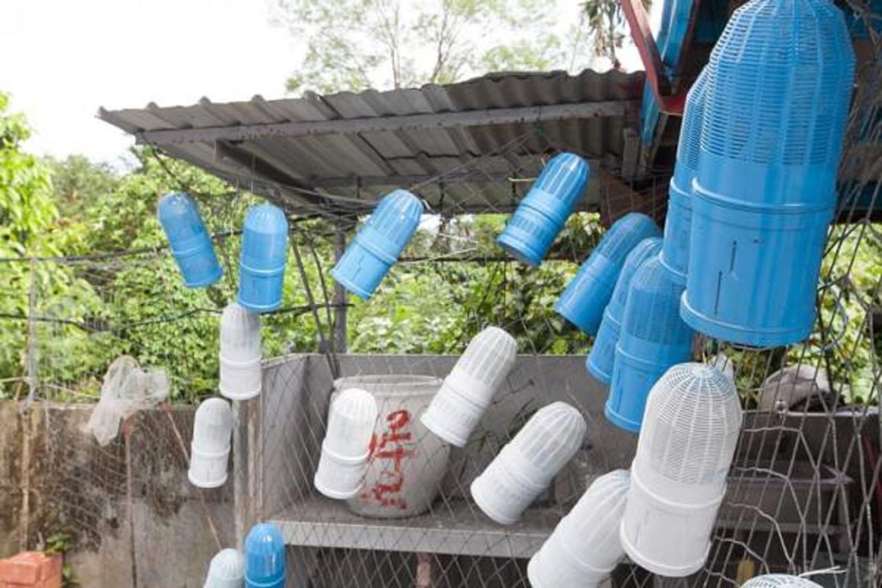 Da Nan Ao Homestay 蘇澳鎮 エクステリア 写真